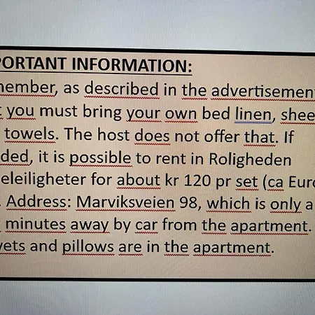 Holbergsgate Apartment